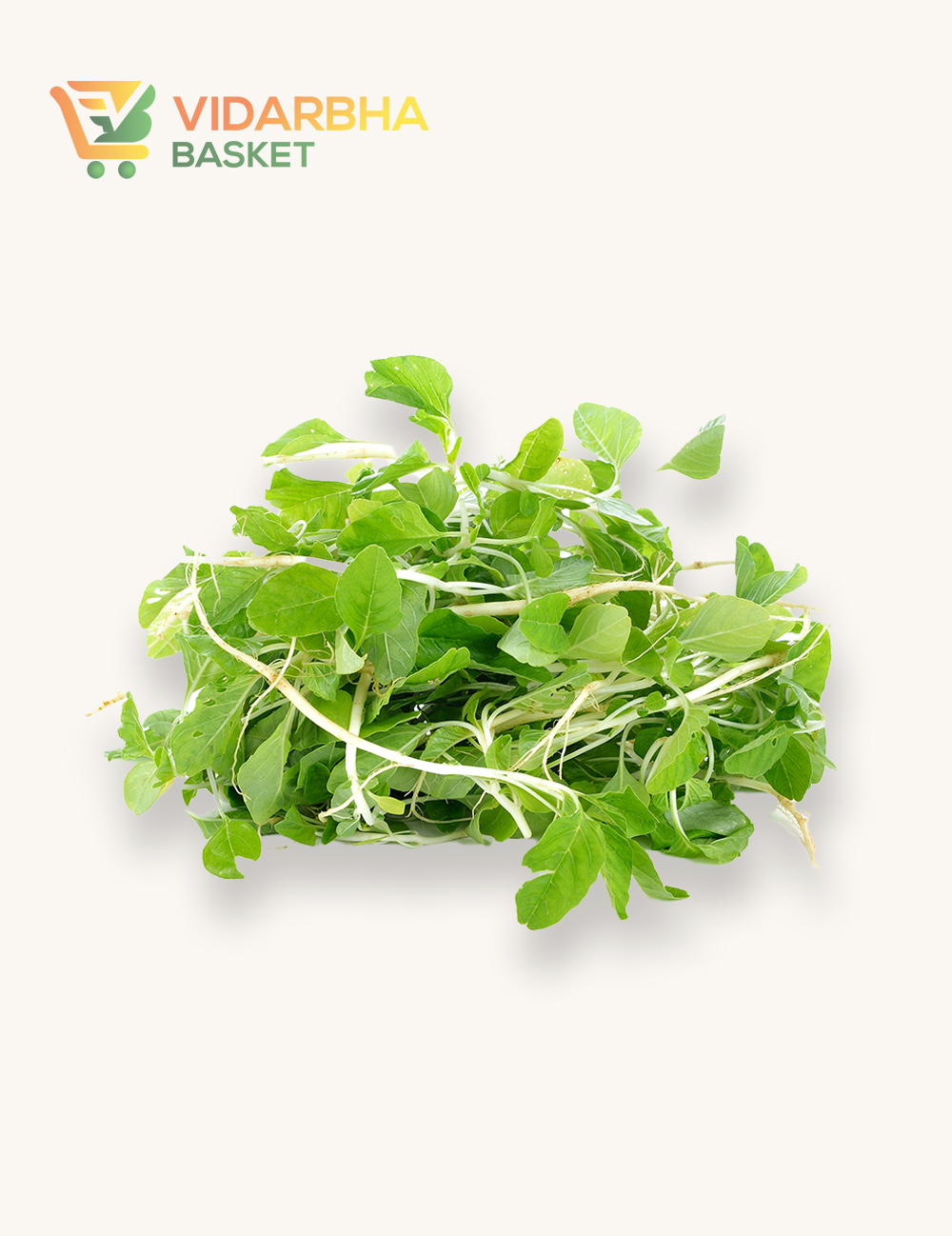 aliquam quat voluptatem