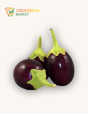 perspiciatis unde omnis