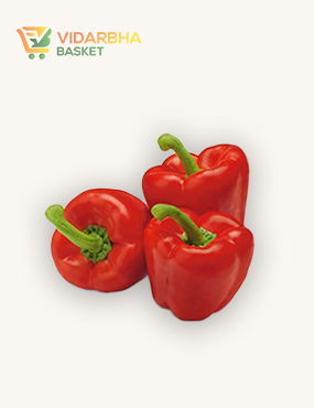 perspiciatis unde omnis