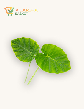 aliquam quat voluptatem