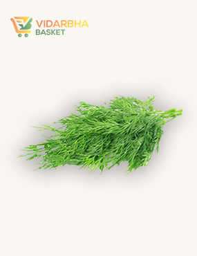 aliquam quat voluptatem