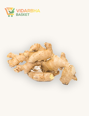 aliquam quat voluptatem