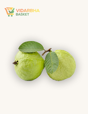 perspiciatis unde omnis