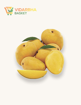 perspiciatis unde omnis