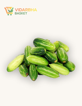 aliquam quat voluptatem