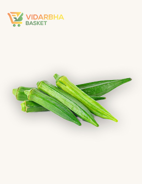 perspiciatis unde omnis