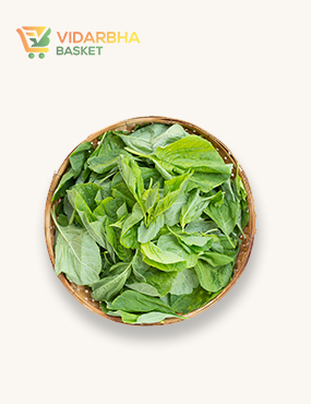 aliquam quat voluptatem