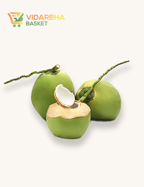 aliquam quat voluptatem