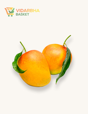 aliquam quat voluptatem