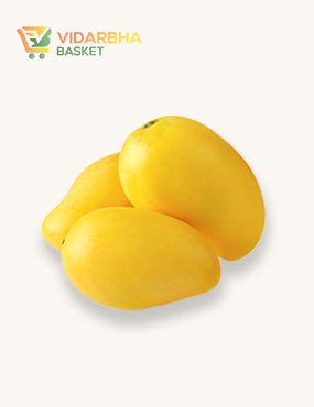 perspiciatis unde omnis