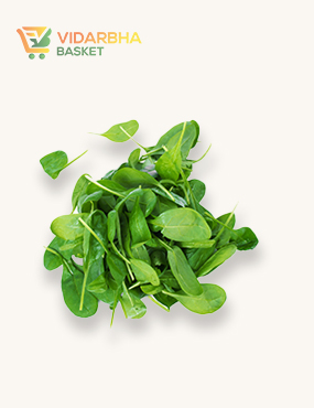 aliquam quat voluptatem