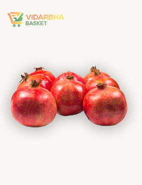 perspiciatis unde omnis