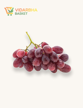 perspiciatis unde omnis