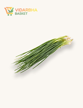 aliquam quat voluptatem