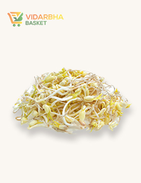 perspiciatis unde omnis